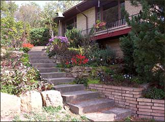 Terrace Garden